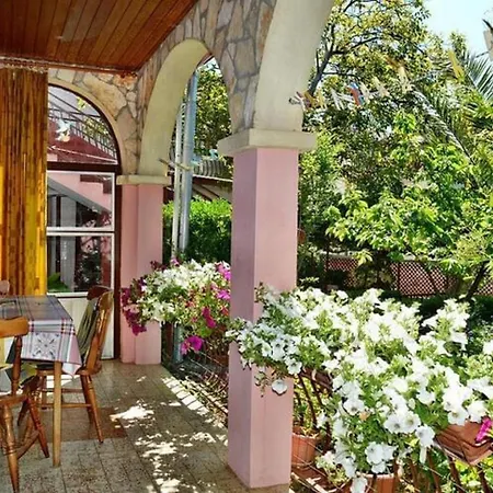 Pavlina * Starigrad Paklenica